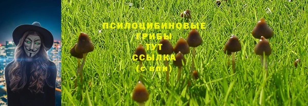 герыч Алексеевка
