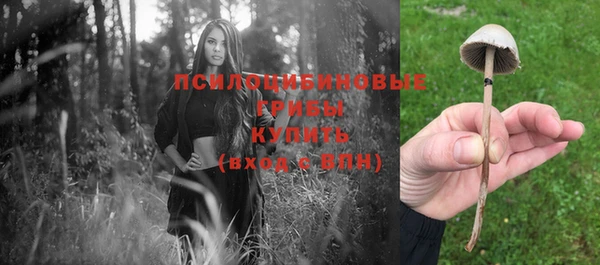 герыч Нязепетровск
