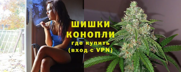 тгк Няндома